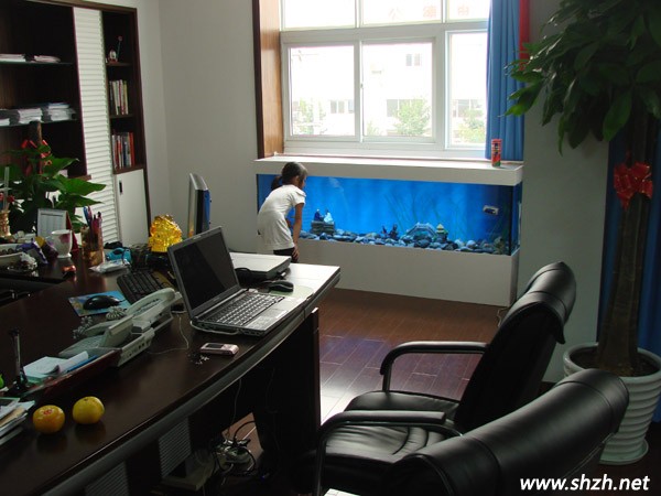 辦公室養(yǎng)魚風水
