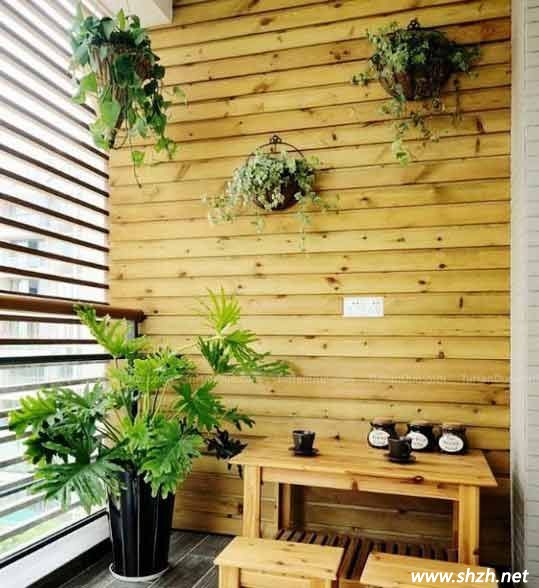 陽(yáng)臺(tái)植物